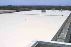 flat roof 2