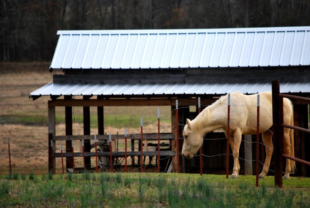 roof on barn